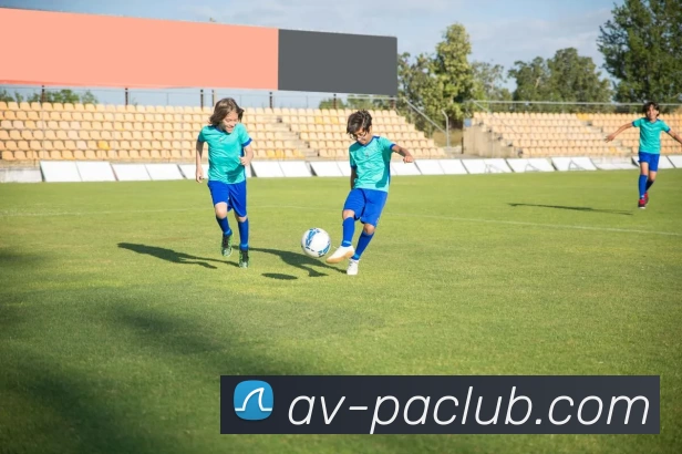 PA集团体育平台生态图